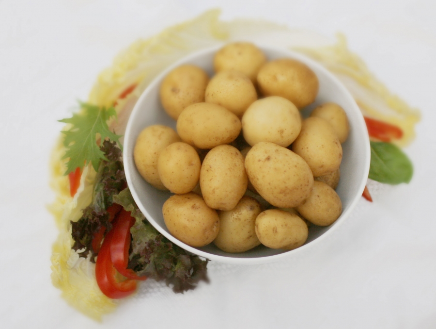 Tinned Vegetables Main ingredients for ready meals, pizza toppings, sandwiches and salads